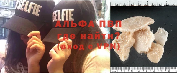 прущие грибы Баксан