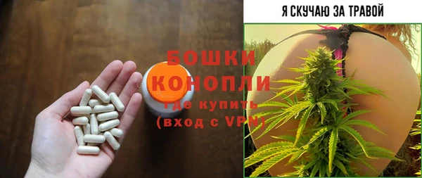 прущие грибы Баксан