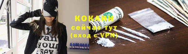 прущие грибы Баксан