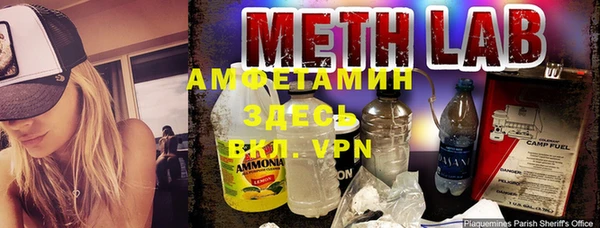 прущие грибы Баксан