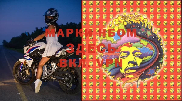 прущие грибы Баксан
