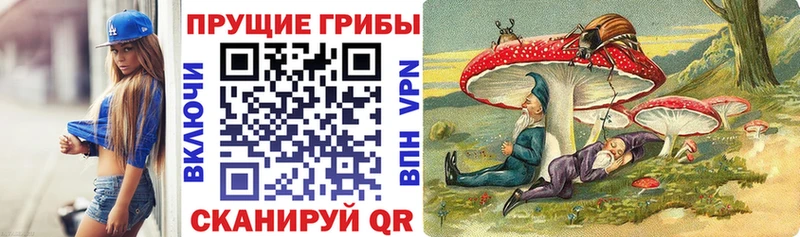 маркетплейс наркотические препараты  Щучье  Псилоцибиновые грибы ЛСД  где найти наркотики 